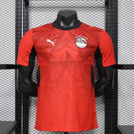 Egypt Home Kit World Cup
