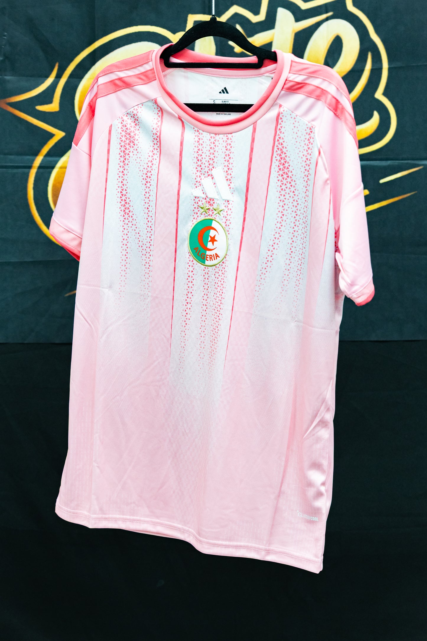 Algeria 25/26 Away Kit